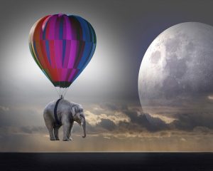 Что означают сны про слона?